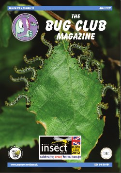 June 2012 Bug Club Magazine cover showing a sawfly larvae.