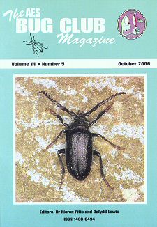 Bug Club Magazine cover - October 2006
