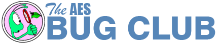 The Bug Club