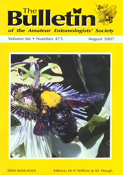 August 2007 Bulletin cover - showing a photograph of a Violet Carpenter Bee (_Xylocopa violacea_)