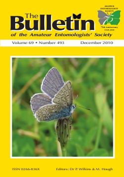 December 2010 Bulletin cover showing an adult male Common Blue (_Polyommatus icarus_).