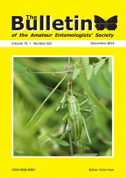 December 2014 Bulletin cover showing a Great Green Bush-cricket (_Tettigonia viridissima_).
.