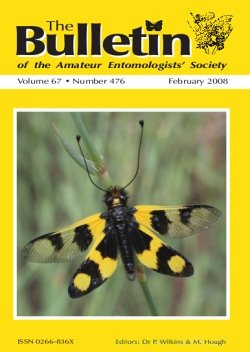 February 2008 Bulletin cover showing a photograph of an adult Neuropteran or Owlfly (_Ascalaphus macaronius_)
