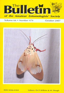 October 2007 Bulletin cover - showing a photograph of the moth _Amerila astreus_ caught in northern Thailand
