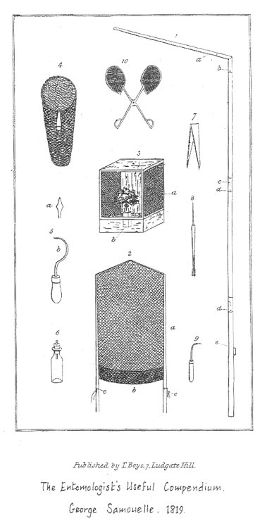 An illustration from George Samouelle's Entomologist's Useful Compendium showing the structure of a clap-net