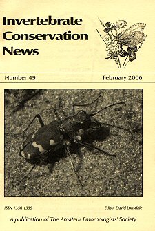 February 2006 Invertebrate Conservation News cover showing a Tiger Beetle