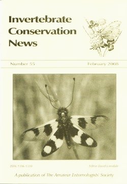 February 2008 Invertebrate Conservation News showing a photograph of an adult Neuropteran or Owlfly (_Ascalaphus macaronius_)