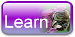Learn fascinating facts about insects
