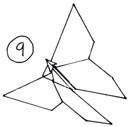 An illustration of the completed butterfly