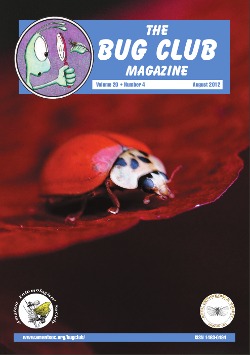 August 2012 Bug Club Magazine cover showing a photograph of an unusually coloured ladybird.