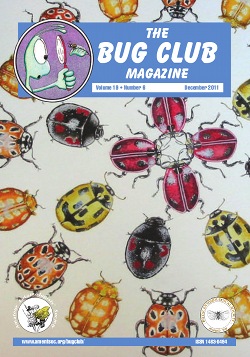 December 2011 Bug Club Magazine cover showing a painting by Cath Hodsman entitled 'A few of my favourite things'. It features ladybirds that can be found in Britain.