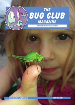 February/March 2014 Bug Club Magazine cover showing a Bug Clubber holding a Speckled Bush Cricket, _Leptophyes punctatissima_