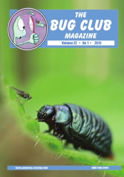 February/March & April/May 2015 Bug Club Magazine cover showing a Larva of the Bloody-nosed Beetle, _Timarcha tenebricosa_ (and a fly)
