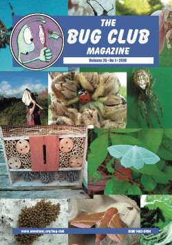 February 2018 Bug Club Magazine cover showing a entomological memories from 2017