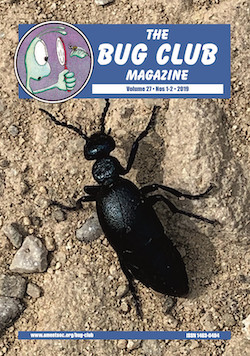 February/April 2019 Bug Club Magazine cover showing an Oil Beetle