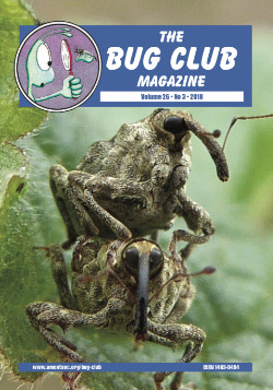 June 2018 Bug Club Magazine cover showing the weevil _Parathelcus pollinarius_