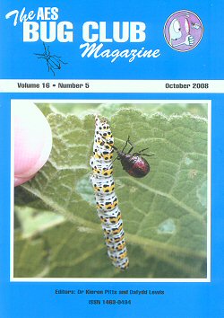 October 2008 Bug Club Magazine cover showing an assassin bug sucking the juices out of a Mullein moth caterpillar