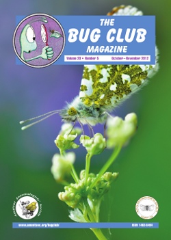 October 2012 Bug Club Magazine cover showing a photograph of a male Orange-tip butterfly, _Anthocaris
cardamines_.