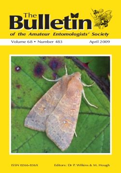 April 2009 Bulletin cover showing a picture of Pale-lemon Sallow moth (_Xanthia ocellaris_)