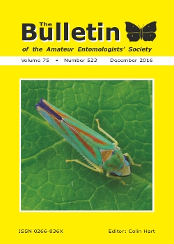 December 2016 Bulletin cover showing the Rhododendron Leafhopper _Graphocephala fennahi_.