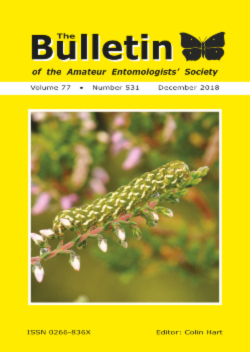 December 2018 Bulletin cover showing the caterpillar of the Beautiful Yellow Underwing moth _Anarta myrtilli_.