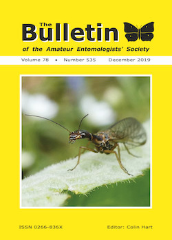 December 2019 Bulletin cover showing the snakefly _Atlantoraphidia maculicollis_