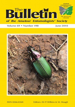 June 2010 Bulletin cover showing Kugelann's Ground Beetle, _Poecilus kugelanni_, (Coleoptera: Carabidae). The photo was supplied by John Walters