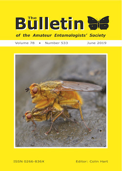 June 2019 Bulletin cover showing the Yellow dung fly _Scathophaga stercoraria_