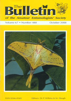 October 2008 Bulletin cover showing a male moon-moth from Taiwan, _Actias heterogyna_