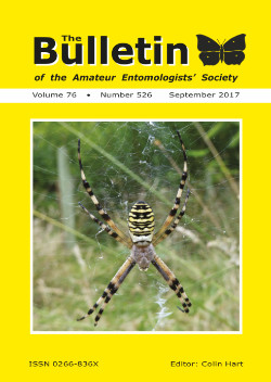 September 2017 Bulletin cover showing the Wasp Spider _Argiope bruennichi_.