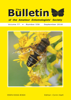 September 2018 Bulletin cover showing the hoverfly _Eristalis nemorum_.
