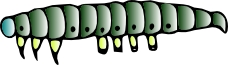 Illustration of a caterpillar