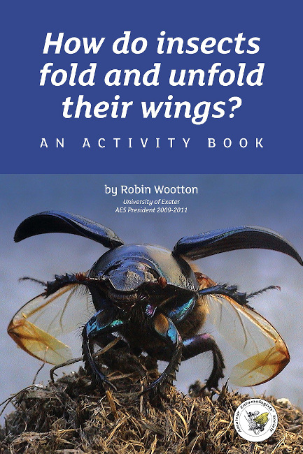 The front cover of How do insects fold and unfold their wings? An activity book