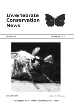 December 2015 Invertebrate Conservation News cover showing a Common Cockchafer or Maybug (_Melolontha melolontha_).