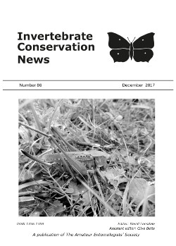 December 2017 Invertebrate Conservation News cover showing the Wart-biter Bush-cricket _Decticus verrucivorus_.
