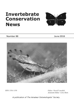 June 2018 Bulletin cover showing the Common lime aphid _Eucallipterus tiliae_