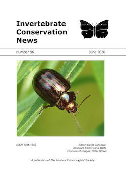 June 2020 Invertebrate Conservation News cover showing a Rosemary beetle _Chrysolina americana_.
