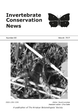 March 2017 Invertebrate Conservation News cover showing the Dotted Bee-fly _Bombylius discolor_.