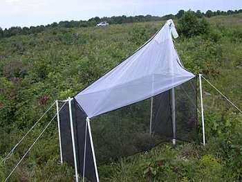 A photograph of a malaise trap used to catch flying insects.