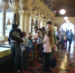 AES members and the public enjoying the insect displays at Oxford University Museum of Natural History