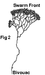 Figure 2 - Diagram of swarm raiders