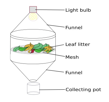 An illustration of a tullgren funnel