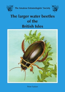 The cover of The larger water beetles of the British Isles - illustrated by Richard Lewington